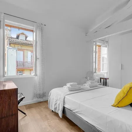 Le Havre Des Tanneurs - Appt Dans L'hyper-centre De * Toulouse