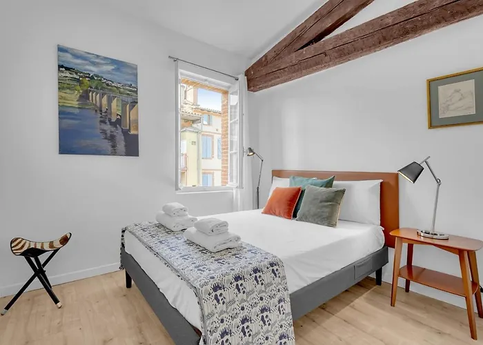 Le Havre Des Tanneurs - Appt Dans L'hyper-centre De * Toulouse