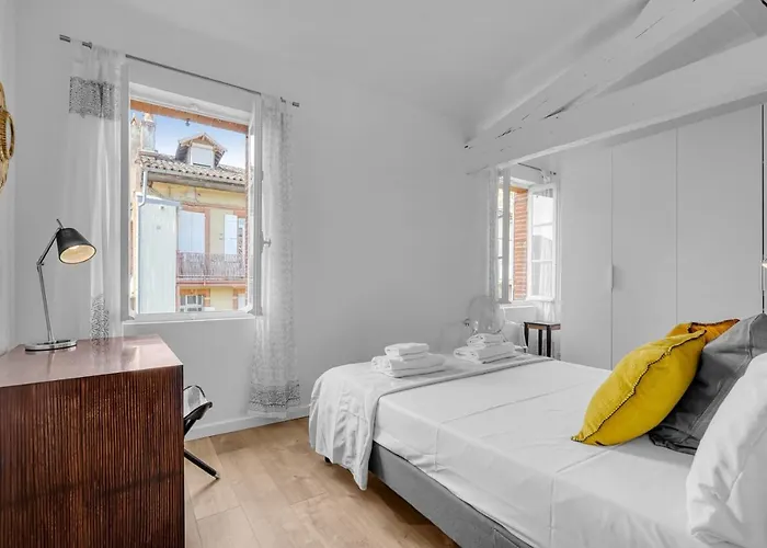 Le Havre Des Tanneurs - Appt Dans L'hyper-centre De * Toulouse